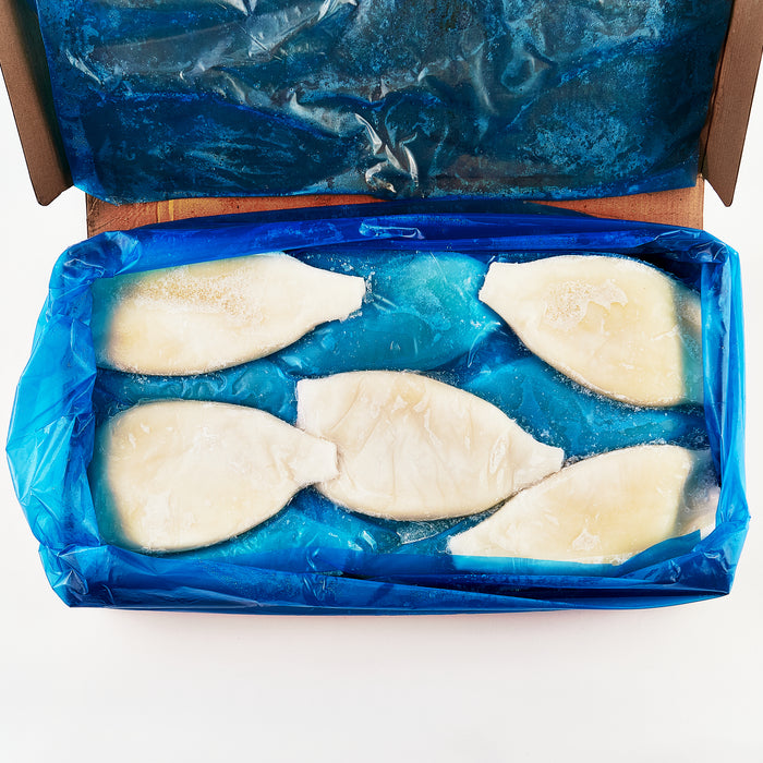 illex  Squid Tube size U5 . 5kg/CARTON